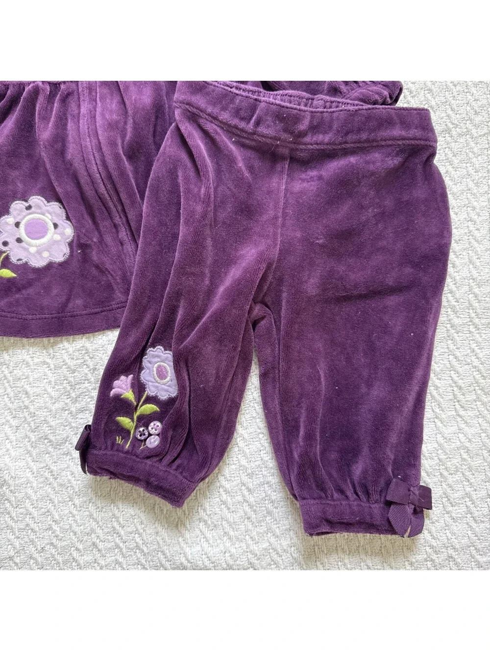 Gymboree 2013 Squirrel Cutie velour zip hooded jacket pants set 0-3M